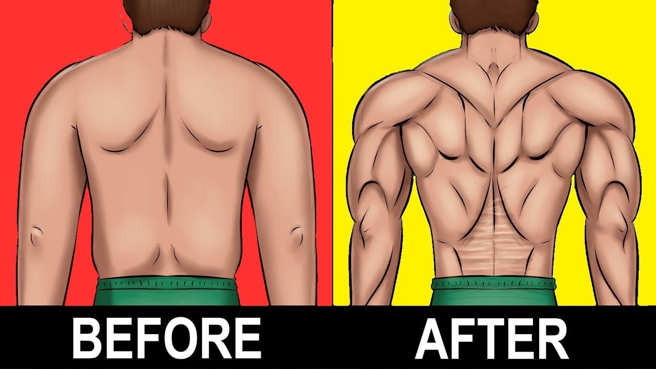 Bodyweight Workout Plan To Burn Fat and Build Muscle: Day-2 Back and Cardio