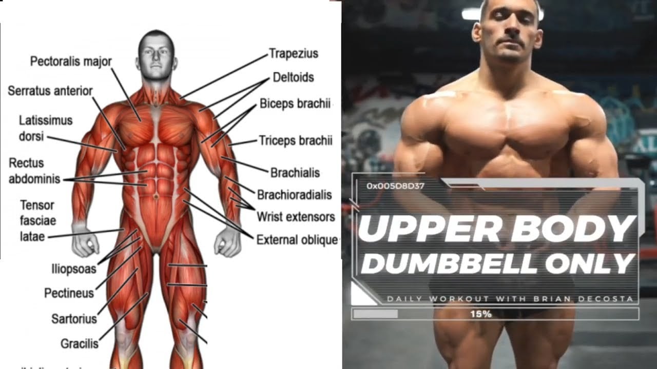 The Complete Upper-Body Dumbbell Workout | Must Try