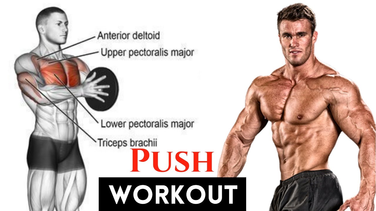 Most Effective PUSH Workout for MUSCLE GROWTH | Science Based (Anatomy) Push Workout.