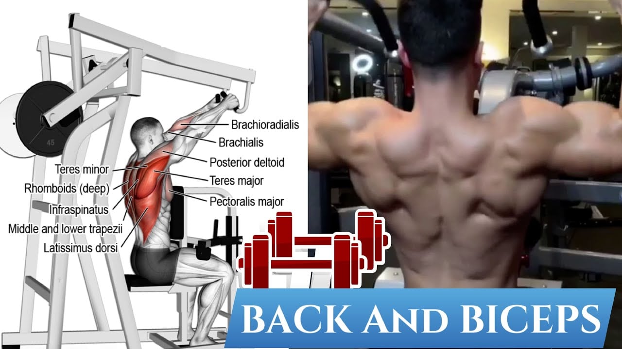 Back and Bicep Workout for Muscle Mass Gains