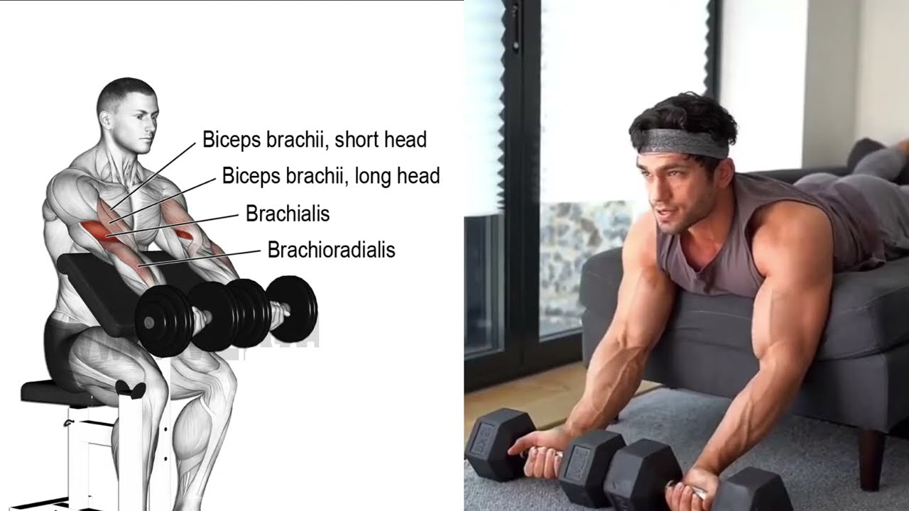 Dumbbell Bicep Workout At Home (Build Bigger Biceps)
