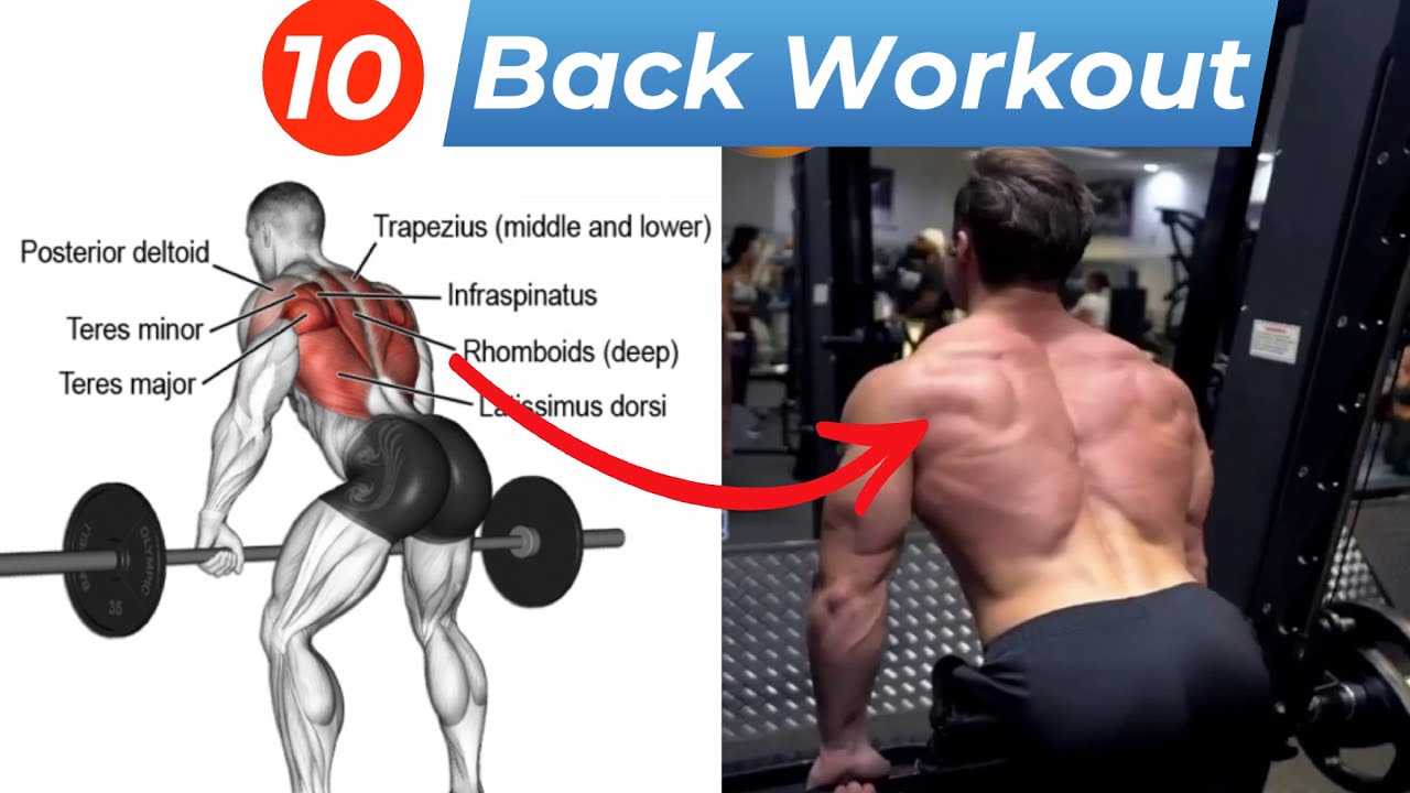Top 10 Back Workout | Ultimate Back Exercises