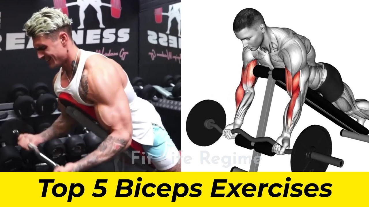 How To Build Biceps Fast | Top 5 Biceps Workout to Get Bigger Biceps