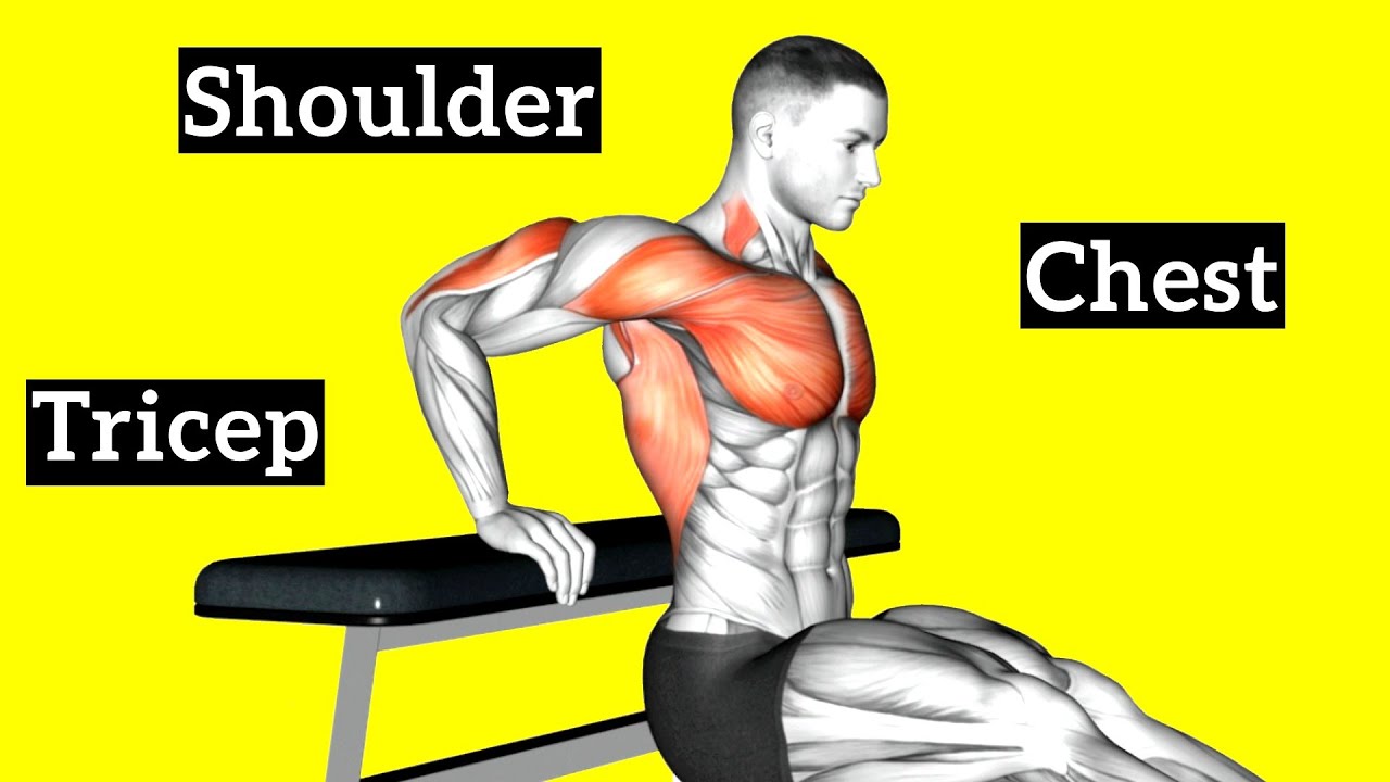 Bodyweight Chest, Shoulder and Tricep Workout At Home