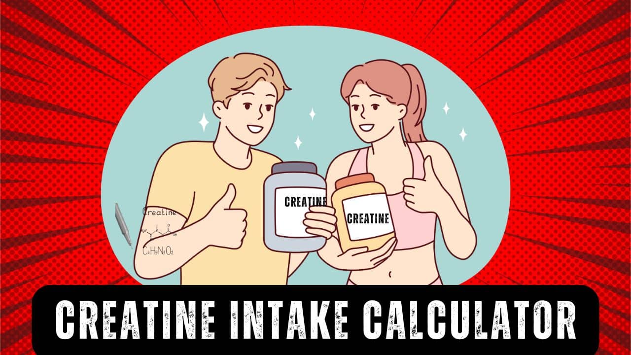 Creatine Intake Calculator
