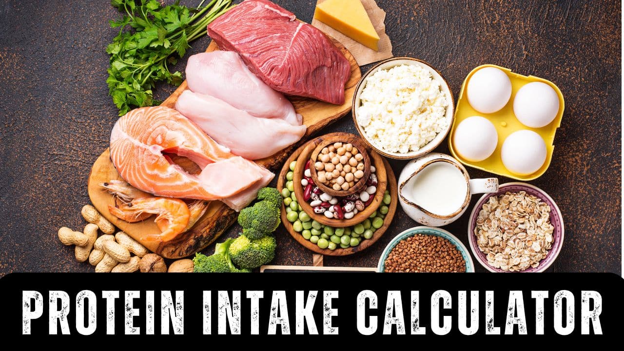 Protein Intake Calculator