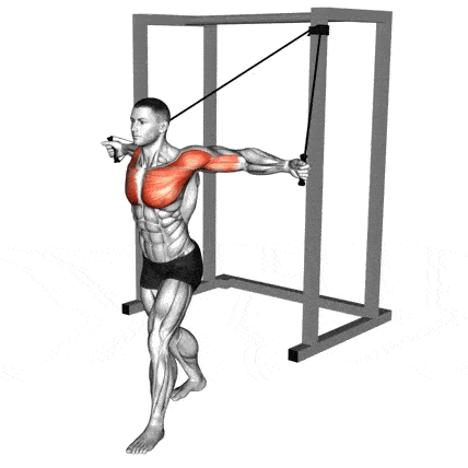 Resistance Band-High To Low Band Fly