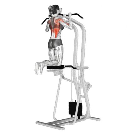 Assisted Pull-Up Machine