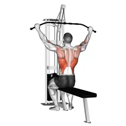 Lat Pulldown
