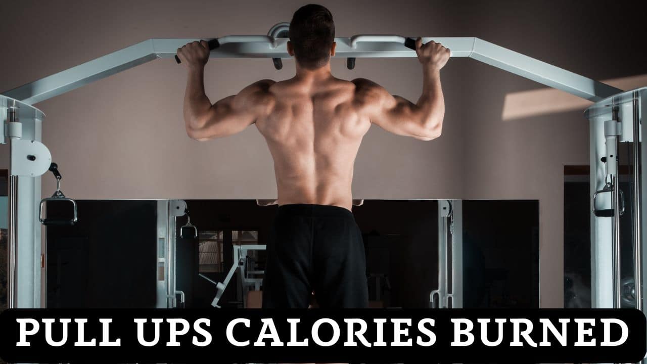 Pull Ups Calories Burned