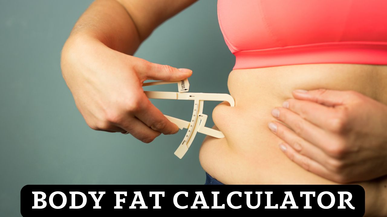 Body Fat Calculator