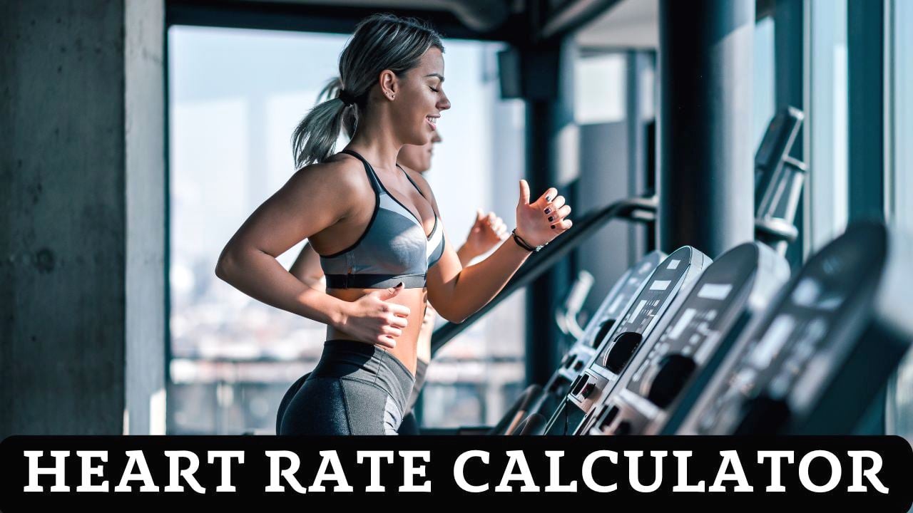 Heart Rate Zone Calculator