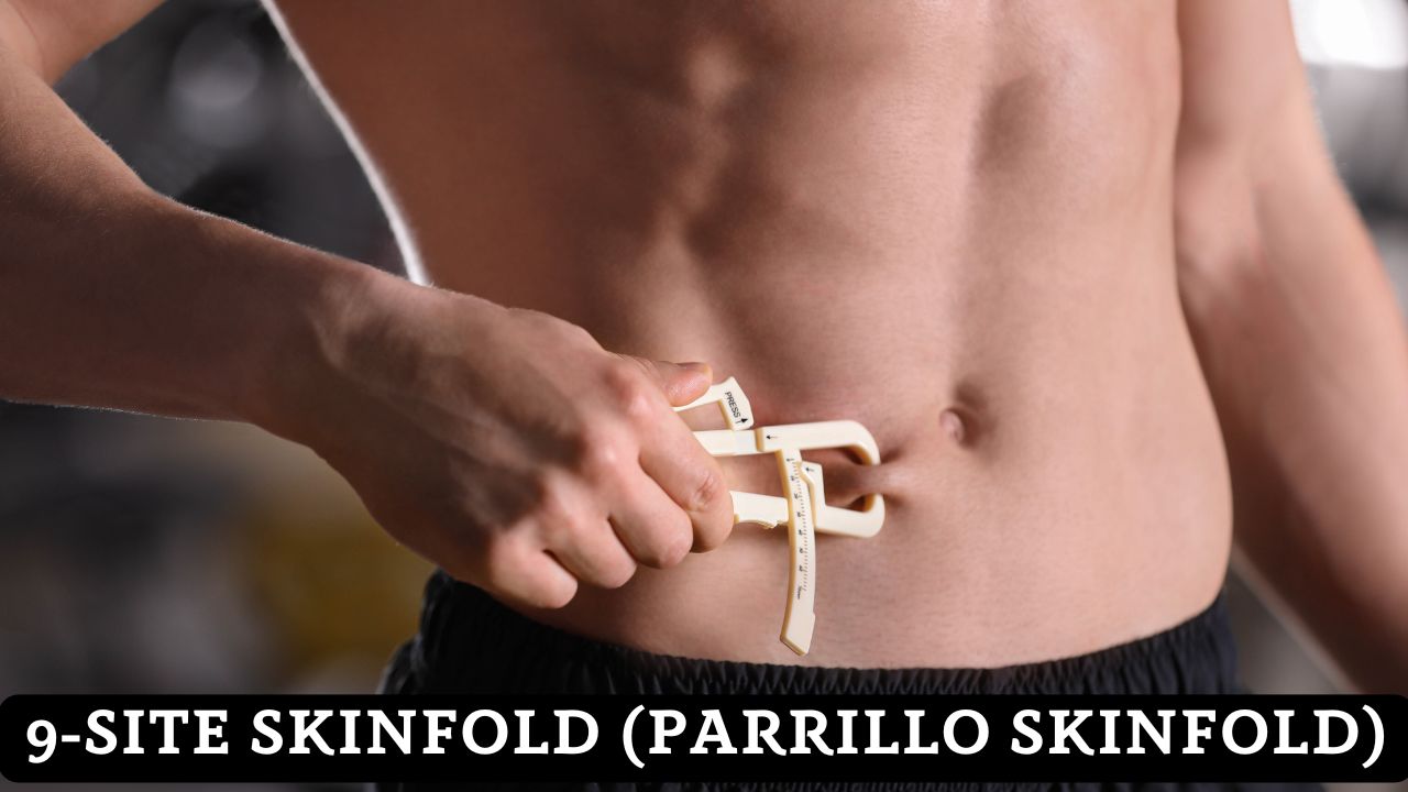 9-Site Skinfold (Parrillo Skinfold): Body Fat %