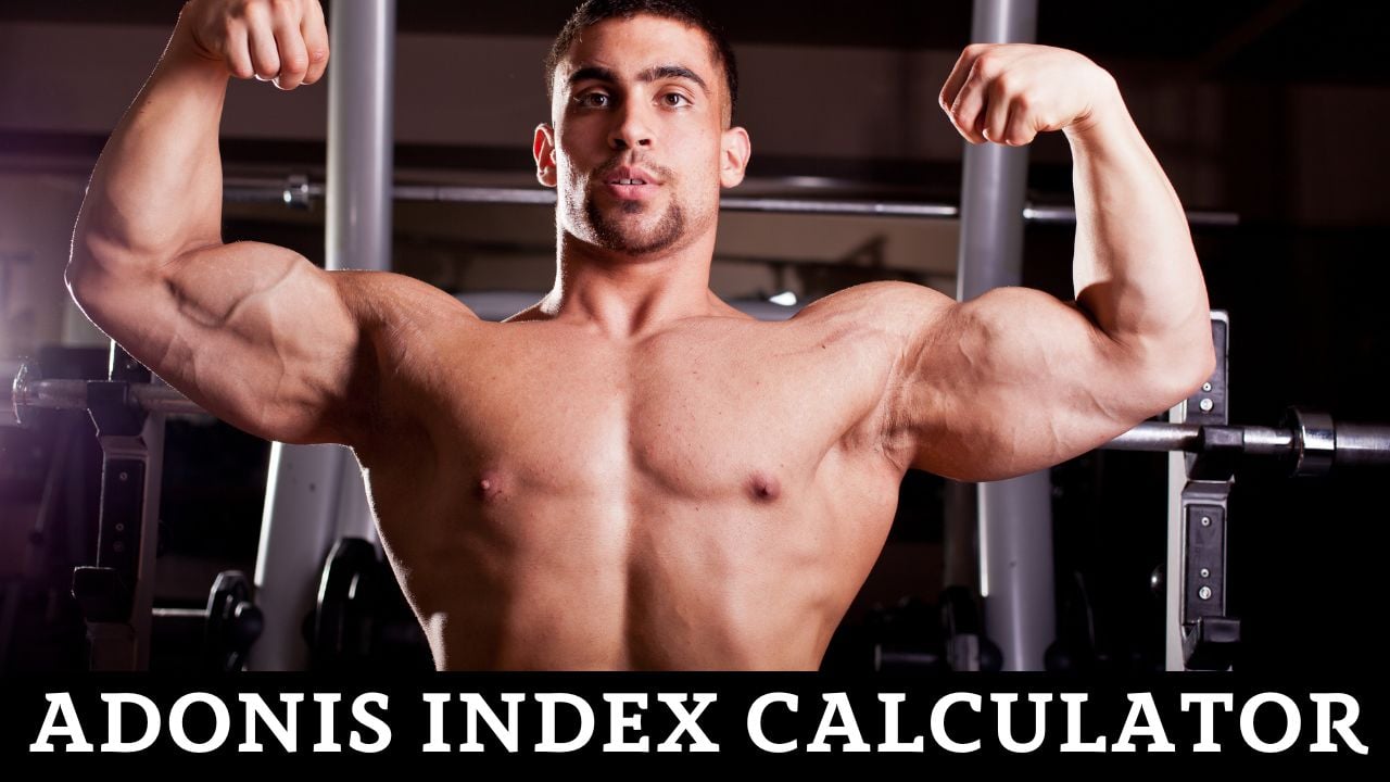 Adonis Index Calculator