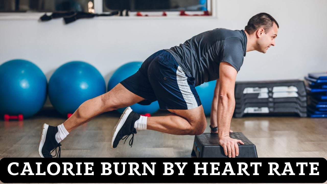 Calorie Burn Calculator By Heart Rate