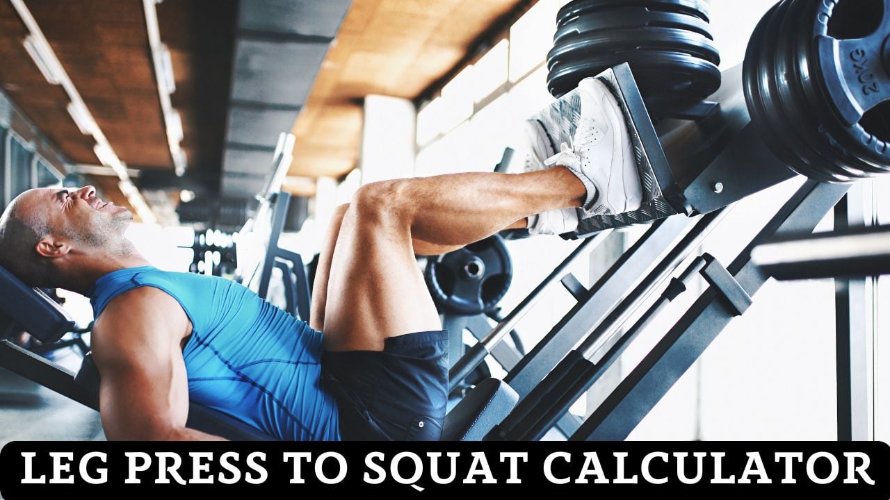 Leg Press to Squat Calculator
