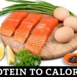 Protein to Calories