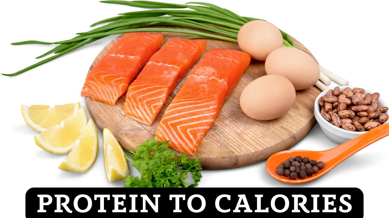 Protein to Calories