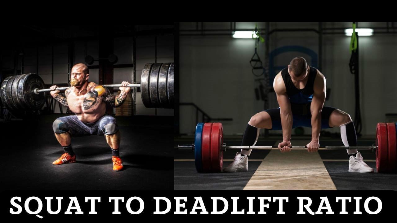 Squat to Deadlift Ratio Calculator