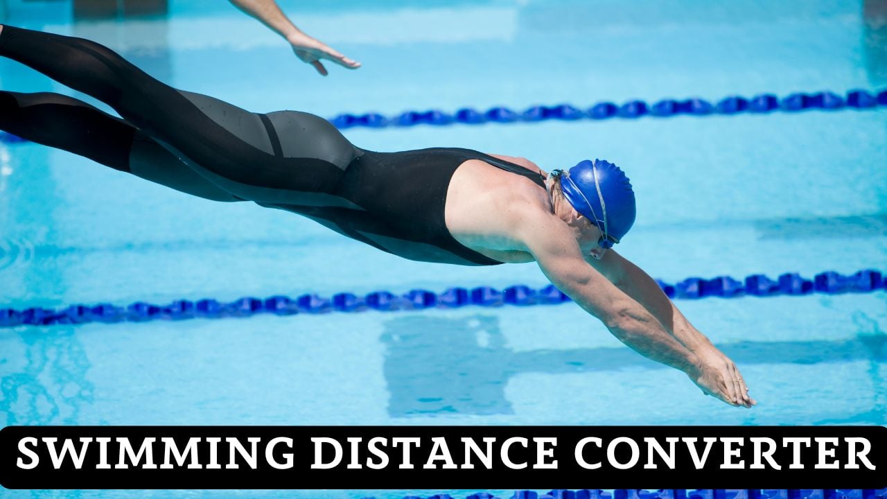 Swimming Distance Converter
