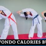 Taekwondo Calories Burned Calculator
