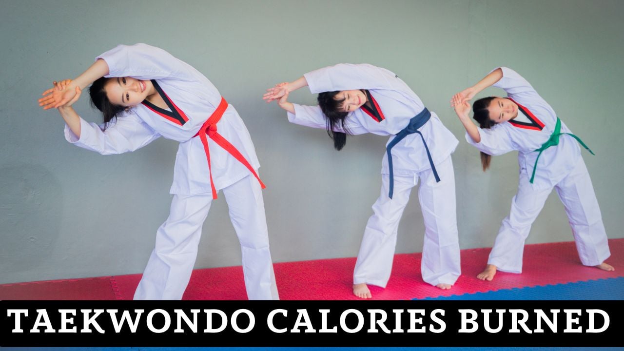 Taekwondo Calories Burned Calculator