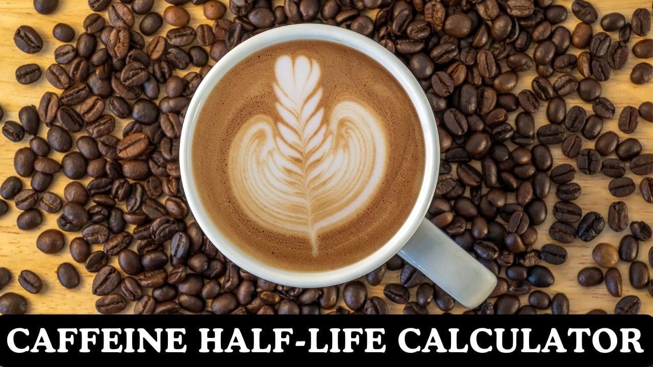 Caffeine Half-life Calculator