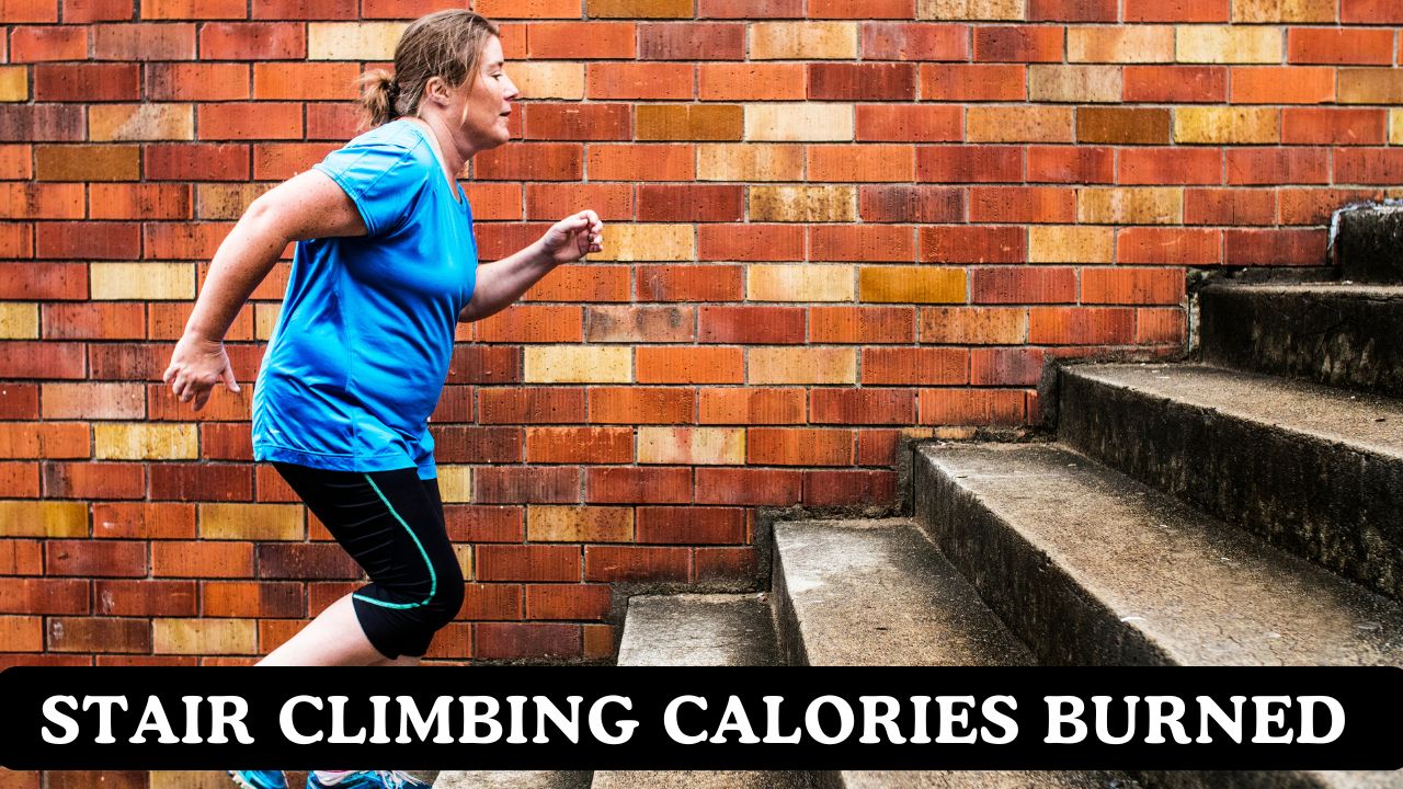 Calories Burned Climbing Stairs