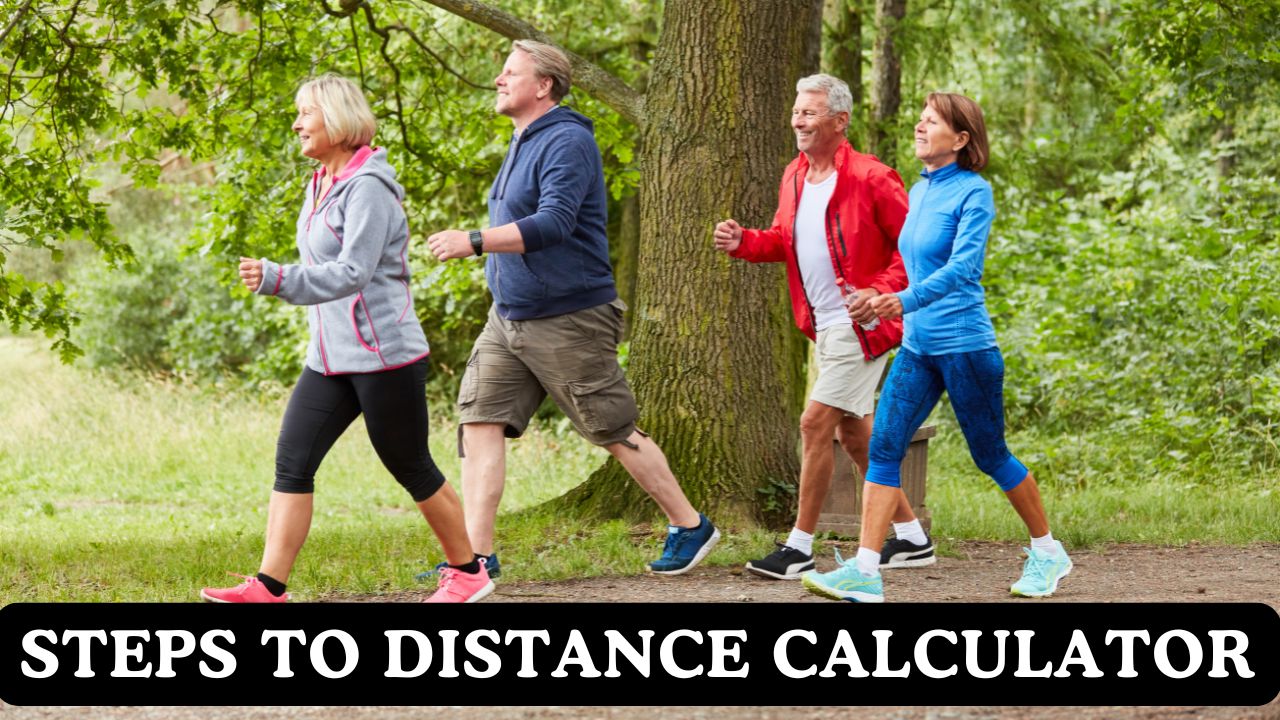 Steps to Distance Calculator