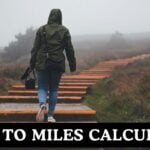 Steps to Miles Calculator