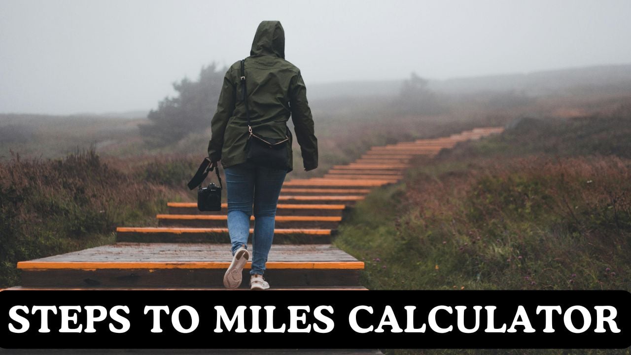 Steps to Miles Calculator