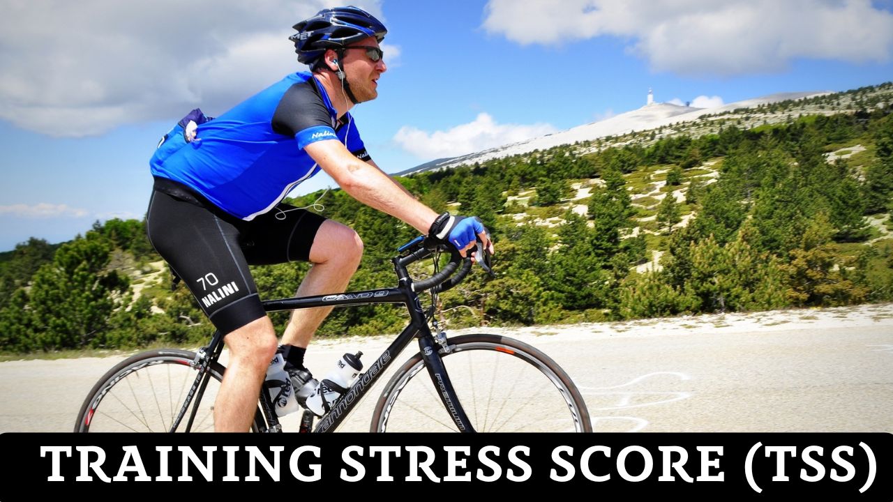 TSS Calculator – Training Stress Score