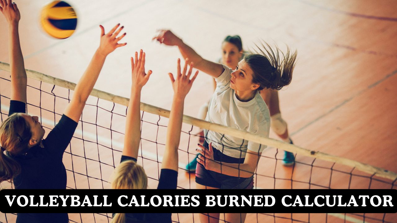 Volleyball Calories Burned Calculator