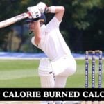 Cricket Calories Burned Calculator