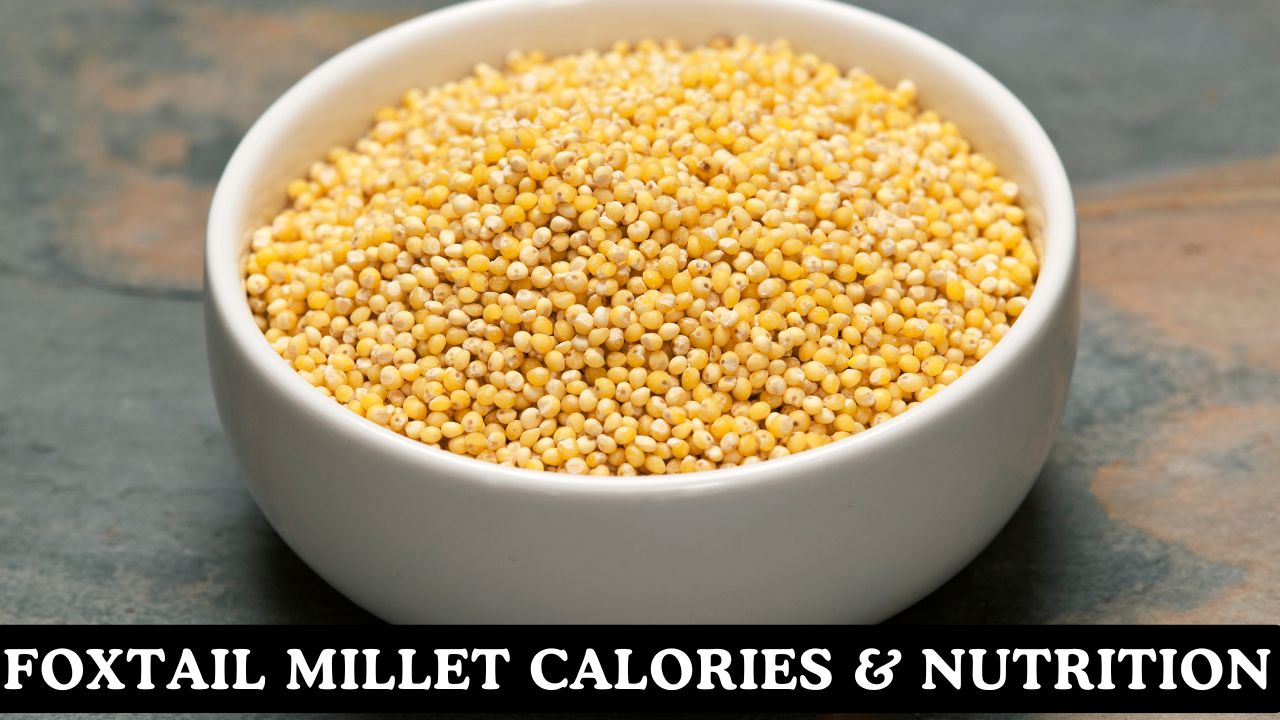 Foxtail Millet (kangni) Calories & Nutritional Facts