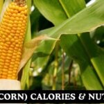 Maize (Corn) Calories & Nutritional Facts Calculator