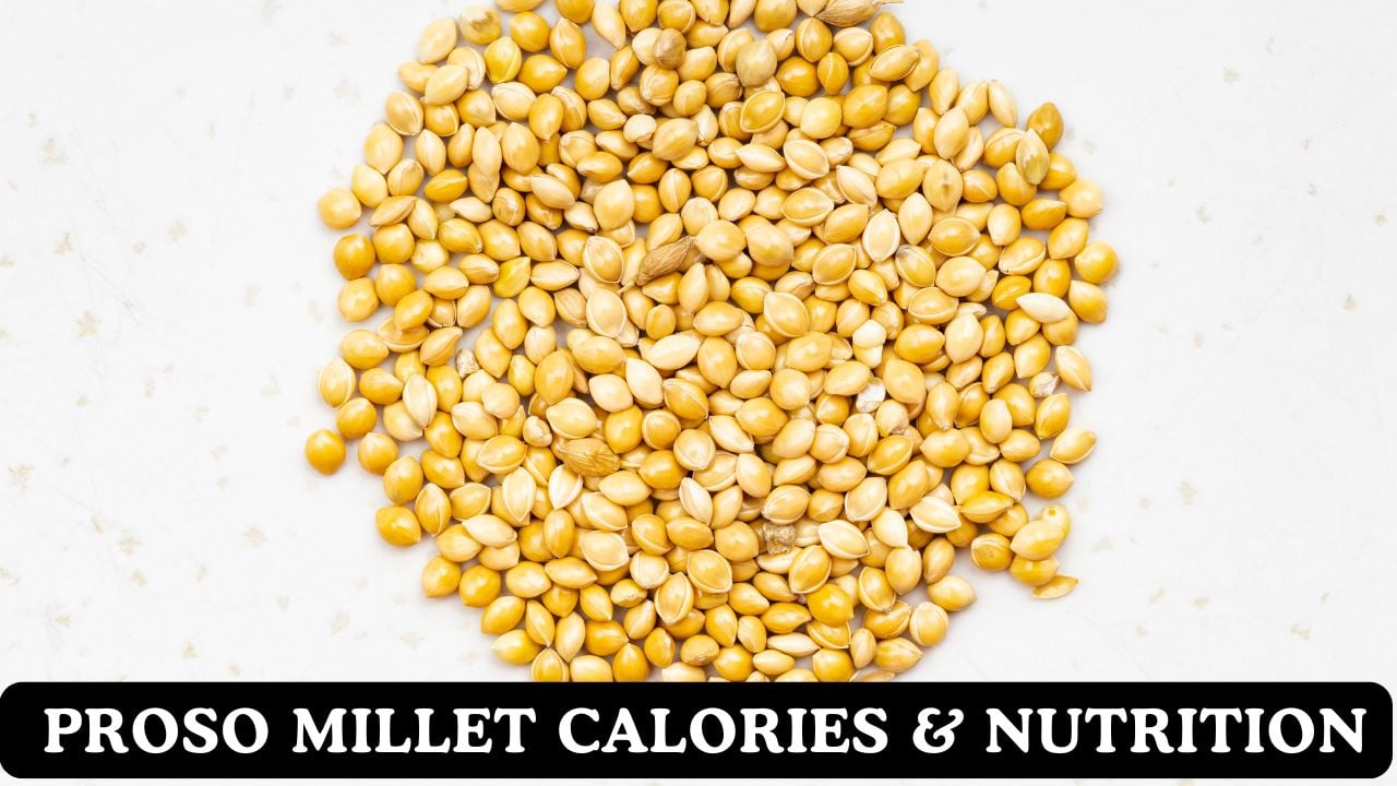 Proso Millet Calories & Nutritional Fact