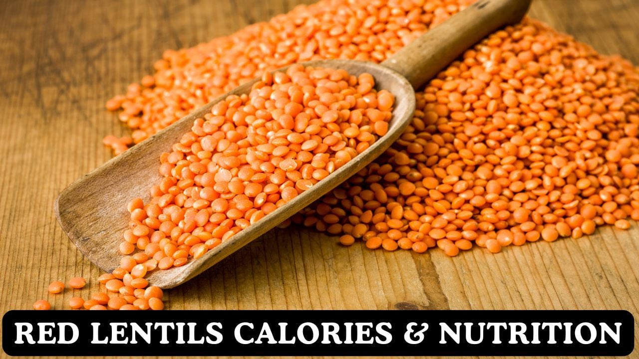 Red Lentils Calories & Nutritional Facts