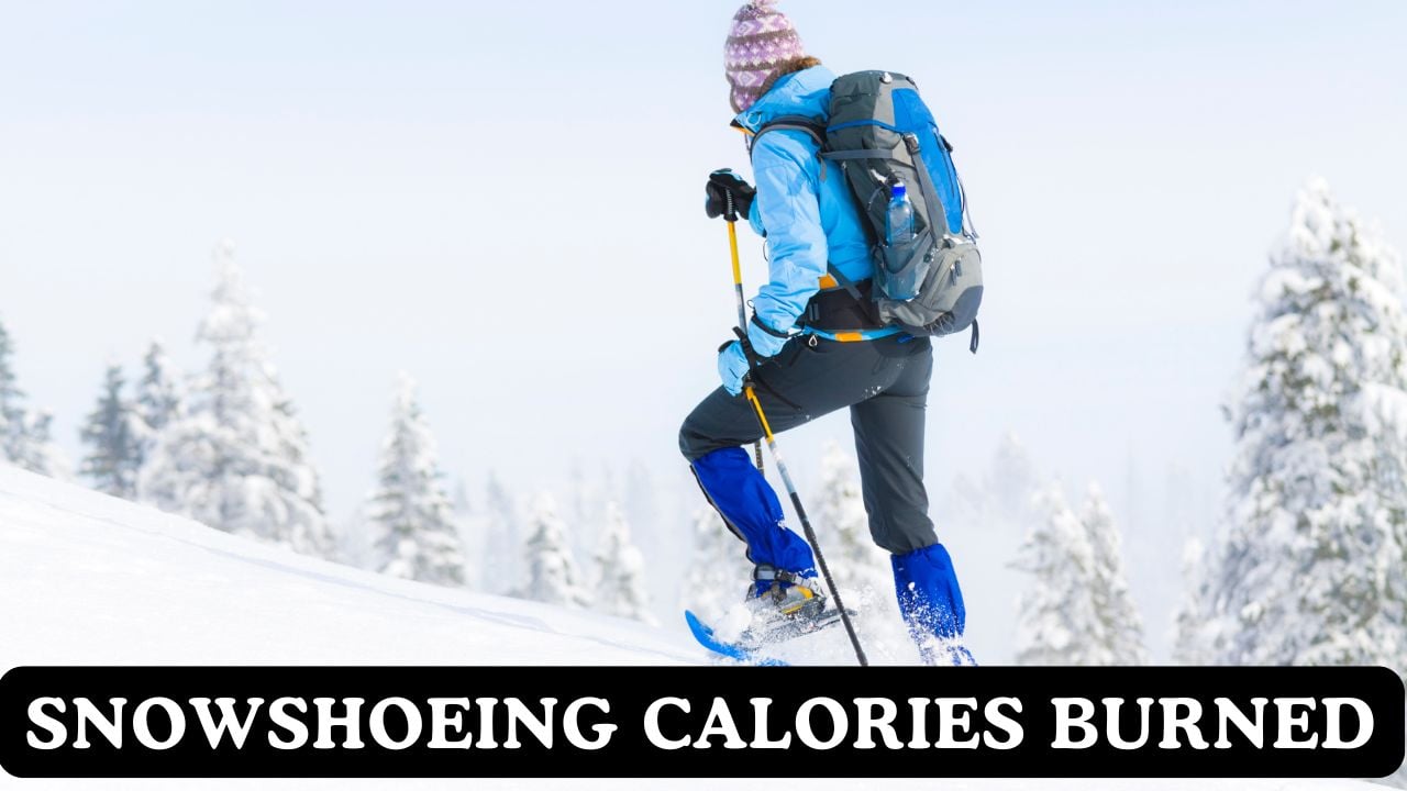 Snowshoeing Calories Burned Calculator