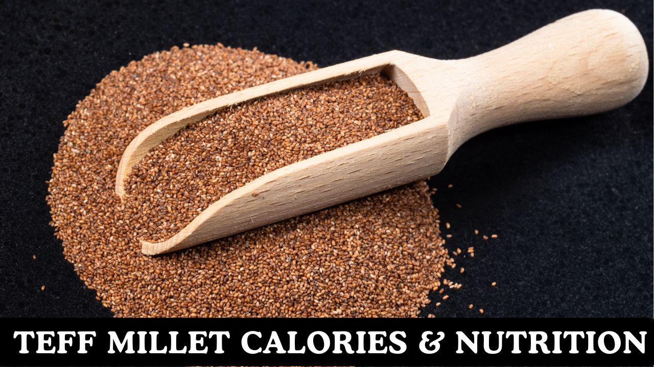 Teff Millet Calories & Nutritional Facts